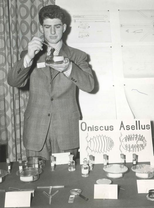 安德鲁·塞斯勒（Andrew Sessler）在1945年的西屋科学人才搜索中进行了项目。