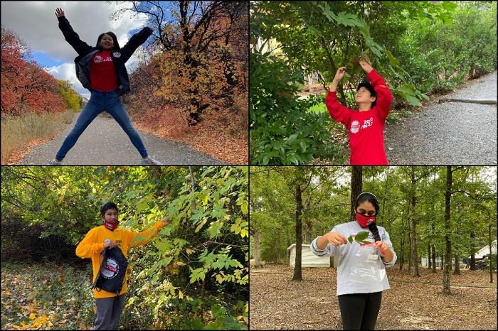 收集叶子的学生的四个照片网格户外