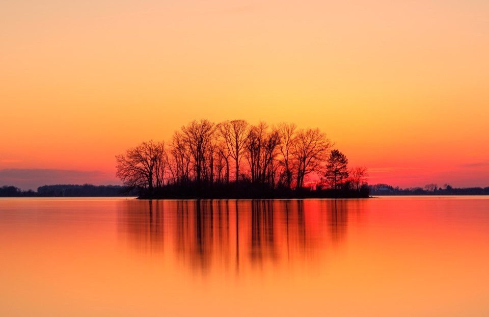 夕阳下的一排树木映照在前景中的一片水域上